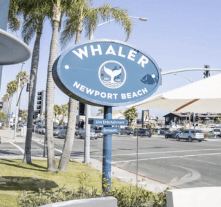 Whaler Newport Beach